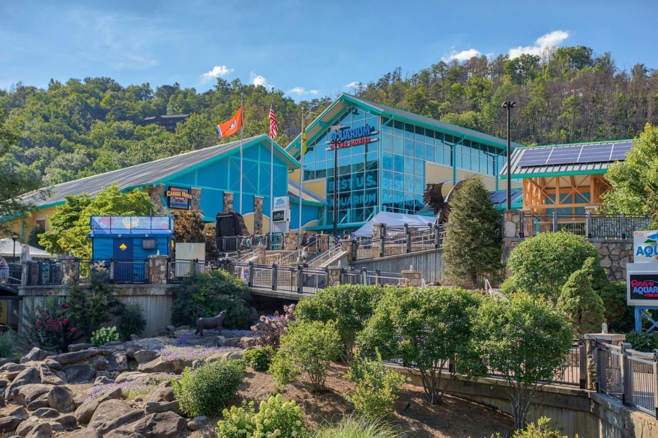 5Bd5B Escape Cabin With 2 Hottubs, Thtr &Game Rm,1Mi To The Parkway! 4Mi To Dollywood - Spring Deal Pigeon Forge Extérieur photo